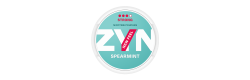 ZYN