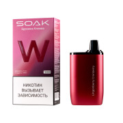Soak W 10000 ORIGINAL (Пряный персик с лаймом)