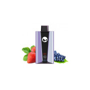 Waka 20000 англ. ORIGINAL (Cranberry grape)